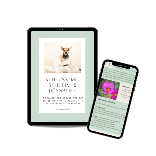 PDF Vorschau